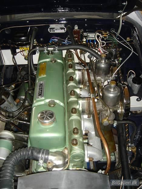 Austin-Morris Austin Healey billede 7