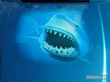 Volvo 240 GLT "SOLGT" - motorhjelmen billede 6