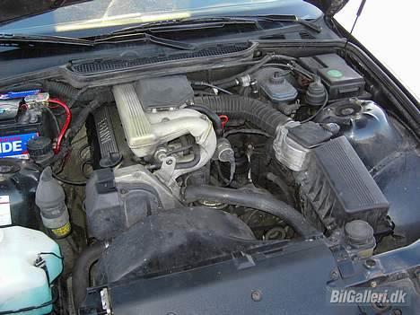 BMW 318i - Motor rummet billede 2
