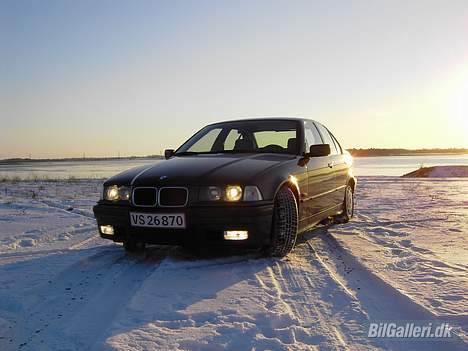 BMW 318i billede 4