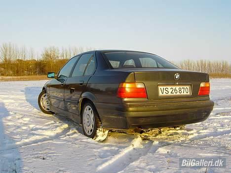 BMW 318i billede 6