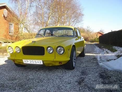 Jaguar *sold* billede 9