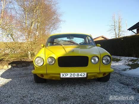 Jaguar *sold* billede 10