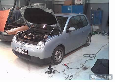 VW Lupo 3L - Så er hun sku kommet ind på værkstedet på min skole billede 10