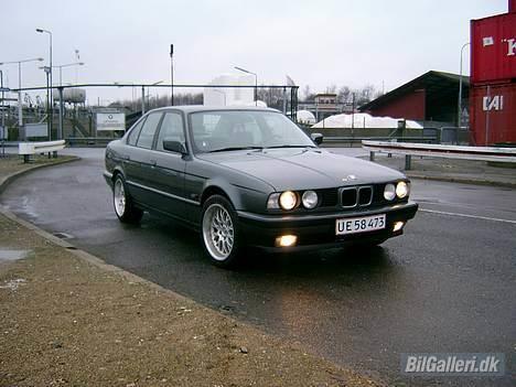 BMW 525i E34 billede 2