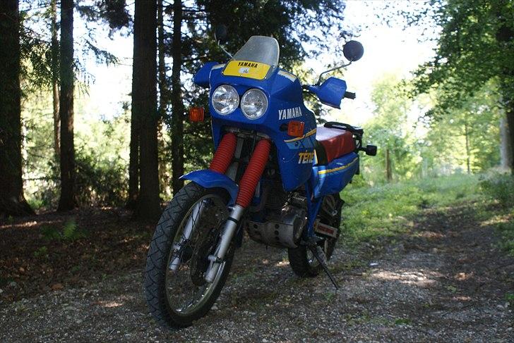 Suzuki Swift - Syntes også lige i skulle se min cykel... billede 15