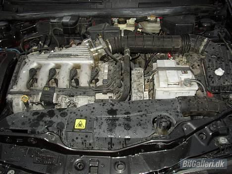 Fiat Marea Weekend #SOLGT# - Lækker kværn he he billede 14