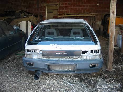 Honda Civic *R.I.P* billede 2