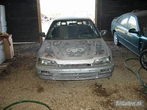 Honda Civic *R.I.P* billede 3