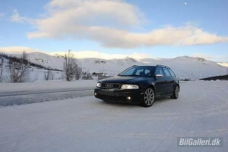 Audi RS4 - skiferie norge billede 13