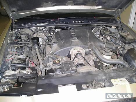 Amerikaner Ford Crown Victoria LX billede 11