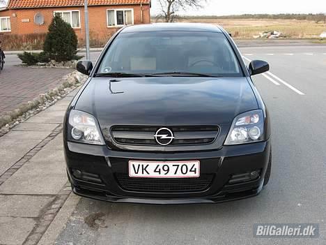 Opel Vectra GTS - OPC line billede 5