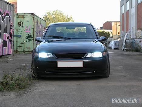 Opel Vectra billede 1