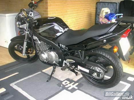 Honda civic Tss Tuning solgt - Min Motorcykel, som senere kommer idn på MC galleriet. ( Suzuki GS K4 ) billede 12