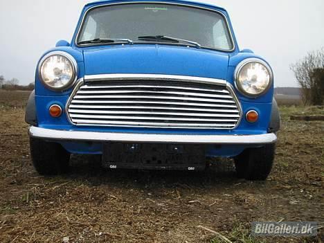 Mini Morris Mascot HOLDER I HI billede 1