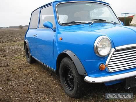 Mini Morris Mascot HOLDER I HI billede 2