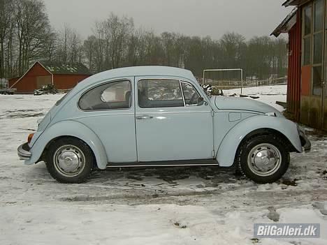VW Bobbel  billede 1