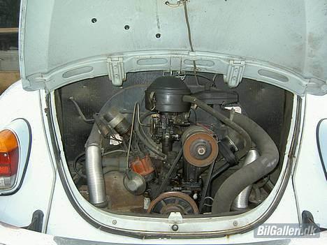 VW Bobbel  billede 5