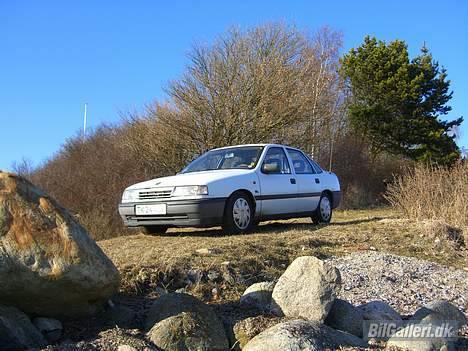 Opel Vectra A - Med udsigt over fjorden billede 3