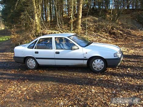 Opel Vectra A - En tur i skoven billede 4