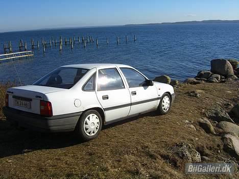Opel Vectra A - Med udsigt over fjorden billede 5