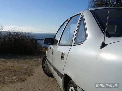 Opel Vectra A - En dejlig forårsdag billede 6