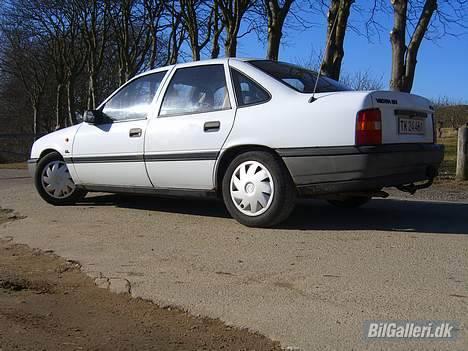 Opel Vectra A - frøperspektiv får den til at se større ud. billede 8