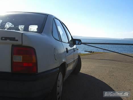 Opel Vectra A - Med udsigt over fjorden billede 10