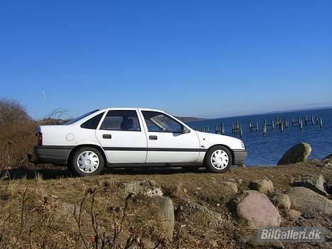Opel Vectra A - Med udsigt over fjorden billede 11