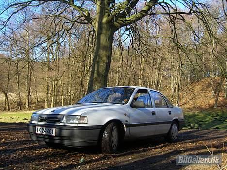 Opel Vectra A - Parkeret under et stort træ billede 12