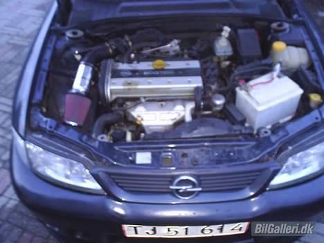 Opel Vectra B Solgt!!! billede 5