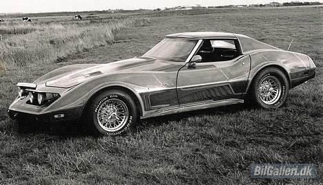 Chevrolet Corvette Stingray Targa - Ved Vesterhavet billede 10