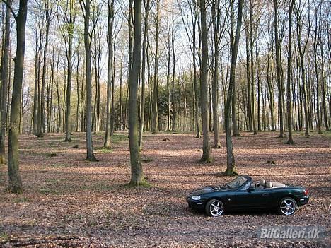 Mazda Mx5 / Mx-5  billede 8