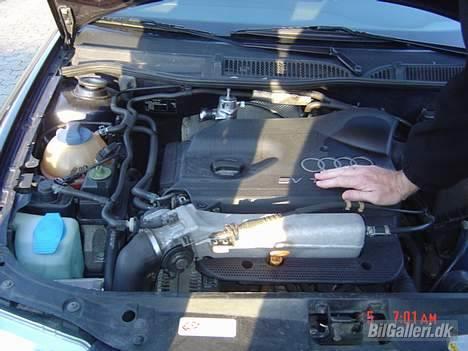 Audi a3 1,8 T   - Denne lækre motor klager jeg ikke over.. billede 2