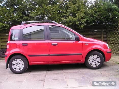 Fiat Panda "Øko-Raceren" billede 2