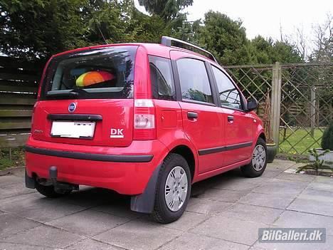Fiat Panda "Øko-Raceren" billede 3