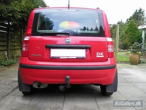 Fiat Panda "Øko-Raceren" billede 4