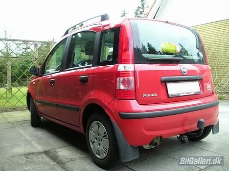 Fiat Panda "Øko-Raceren" billede 5