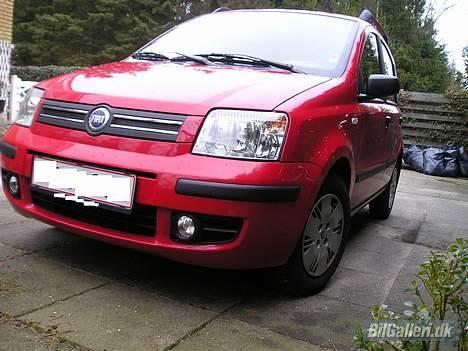 Fiat Panda "Øko-Raceren" billede 7
