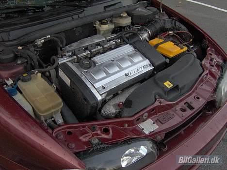 Fiat Marea ... † DØD † billede 5