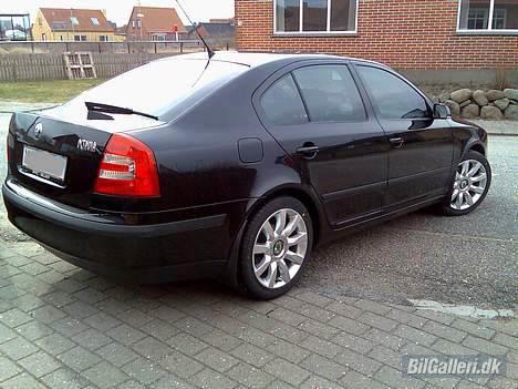 Skoda Octavia Amb. DSG billede 2
