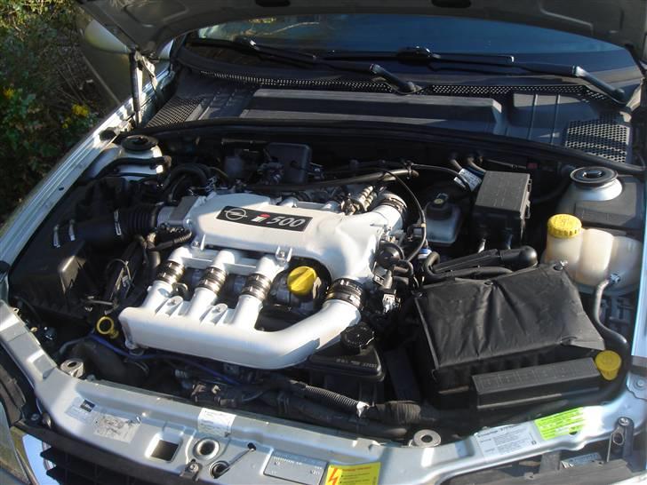 Opel Vectra b  V6 SOLGt - Ja den er squ lidt pakket:-) billede 6