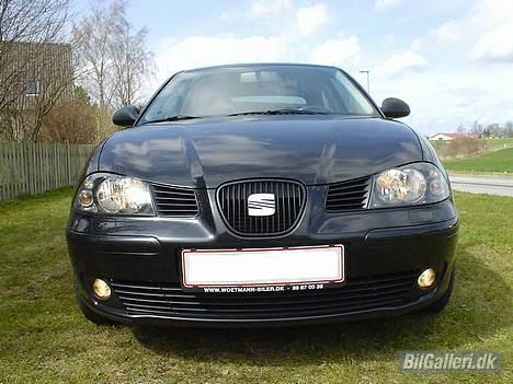 Seat Ibiza billede 1