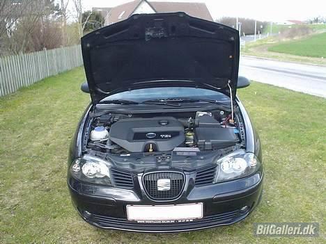 Seat Ibiza billede 10