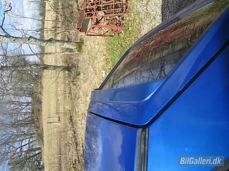 VW golf (GOLF VOGNEN) billede 10