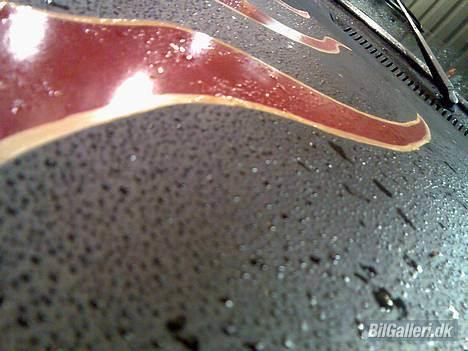 Volvo 142 "Flamin' Moe" - Våde flammer? :-) billede 2