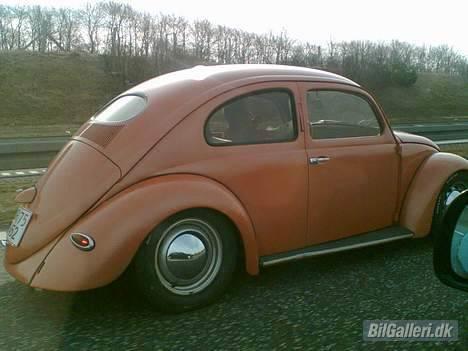 VW bobbel-ovaler-solgt billede 15