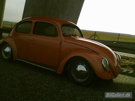 VW bobbel-ovaler-solgt billede 16