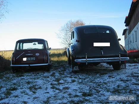Mini 1000 - Her er mini´en ved siden af min fars gamle Volvo PV 60.. (det er en meget sjælden bil) men her kan man virkelig se hvor lille den er... hehe billede 1