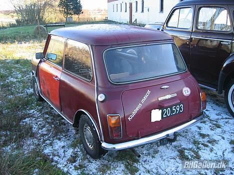 Mini 1000 - HOV... hvad er nu det.....!!!! ja du ser helt rigtigt... der er sku kommet jydekrog på... hehe... det er altså ikke vær dag man ser en mini med træk på... nyd det.. hehe billede 3